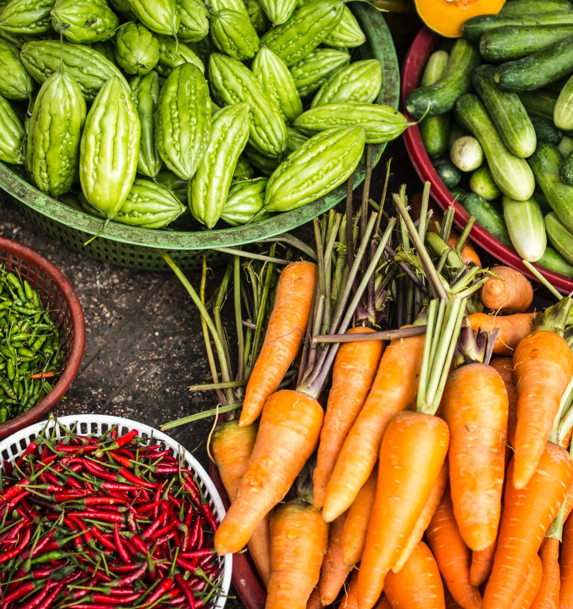 donation-campaign-image